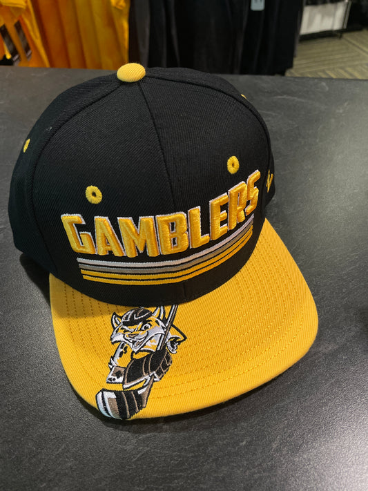 Pitch-A-Fit Youth Snap Back Cap