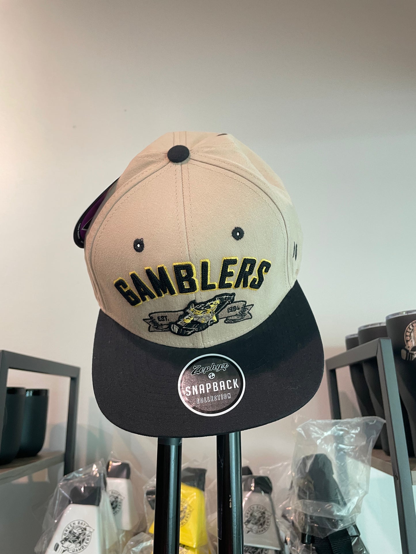 Revere Retro Dark Stone Flat Snap Cap